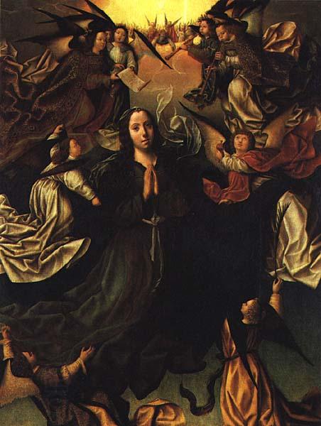 FERNANDES, Vasco Assumption of the Virgin  dfg